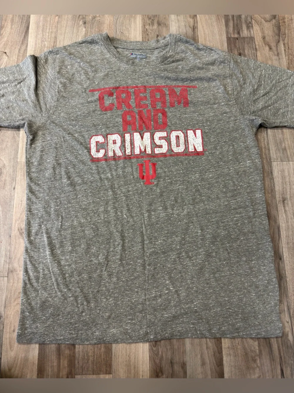 Champion Heather Gray Tee with Red and White 'Cream and Crimson' Print XL - Picture 3 of 7